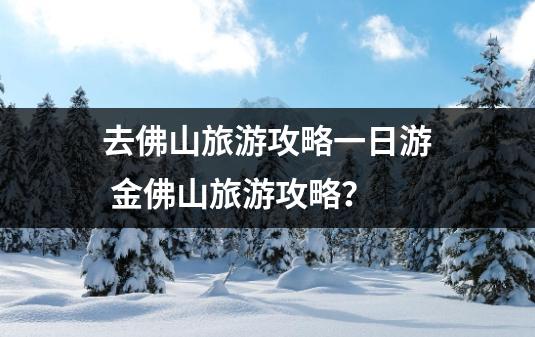 去佛山旅游攻略一日游 金佛山旅游攻略？