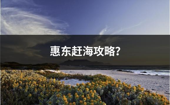 惠东赶海攻略？