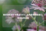 重庆市区必打卡景点TOP10：从洪崖洞到磁器口，带你玩转山城