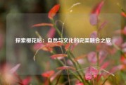 探索樱花峪：自然与文化的完美融合之旅