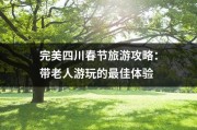 完美四川春节旅游攻略：带老人游玩的最佳体验