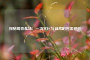 探秘莺歌盐场：一场文化与自然的完美邂逅