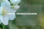 向晚沙洲：探索黄昏时分的绝美秘境