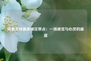 探索全球最美樱花景点：一场视觉与心灵的盛宴