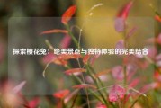 探索樱花兔：绝美景点与独特体验的完美结合