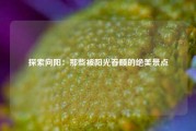 探索向阳：那些被阳光眷顾的绝美景点