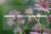 探秘向阳坝：自然与人文交织的绝美旅游胜地