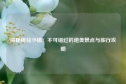 探秘樱花小镇：不可错过的绝美景点与旅行攻略