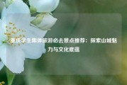 重庆学生集体旅游必去景点推荐：探索山城魅力与文化底蕴