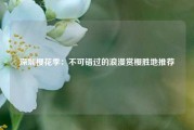 深圳樱花季：不可错过的浪漫赏樱胜地推荐