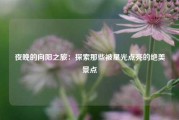 夜晚的向阳之旅：探索那些被星光点亮的绝美景点