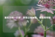 重庆万州一日游：探索山城秘境，感受独特魅力