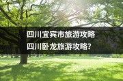 四川宜宾市旅游攻略 四川卧龙旅游攻略？