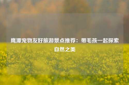 鹰潭宠物友好旅游景点推荐：带毛孩一起探索自然之美