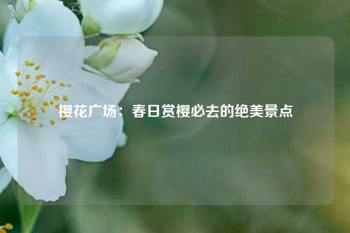 樱花广场：春日赏樱必去的绝美景点