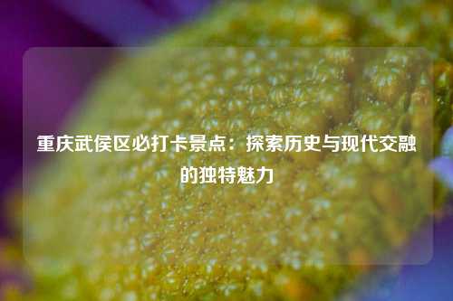 重庆武侯区必打卡景点：探索历史与现代交融的独特魅力