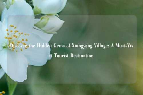 Discover the Hidden Gems of Xiangyang Village: A Must-Visit Tourist Destination