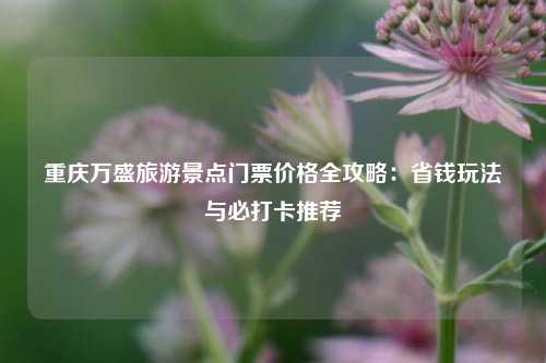 重庆万盛旅游景点门票价格全攻略：省钱玩法与必打卡推荐